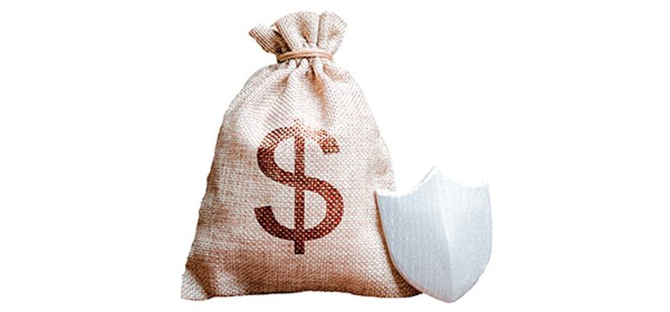 Money bag with shield symbol