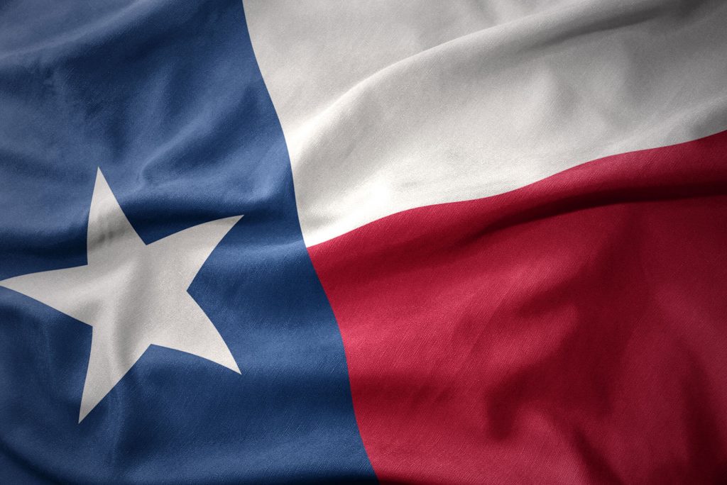 Texas state flag waving softly