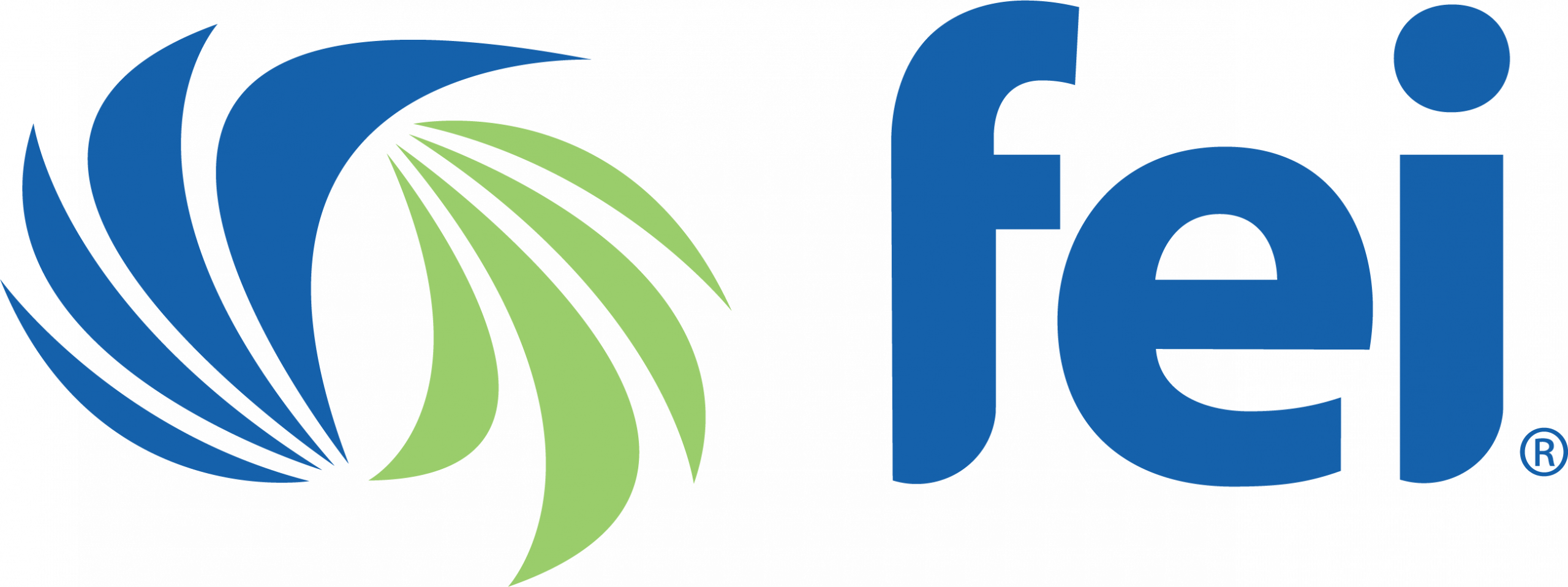 Financial Executives International